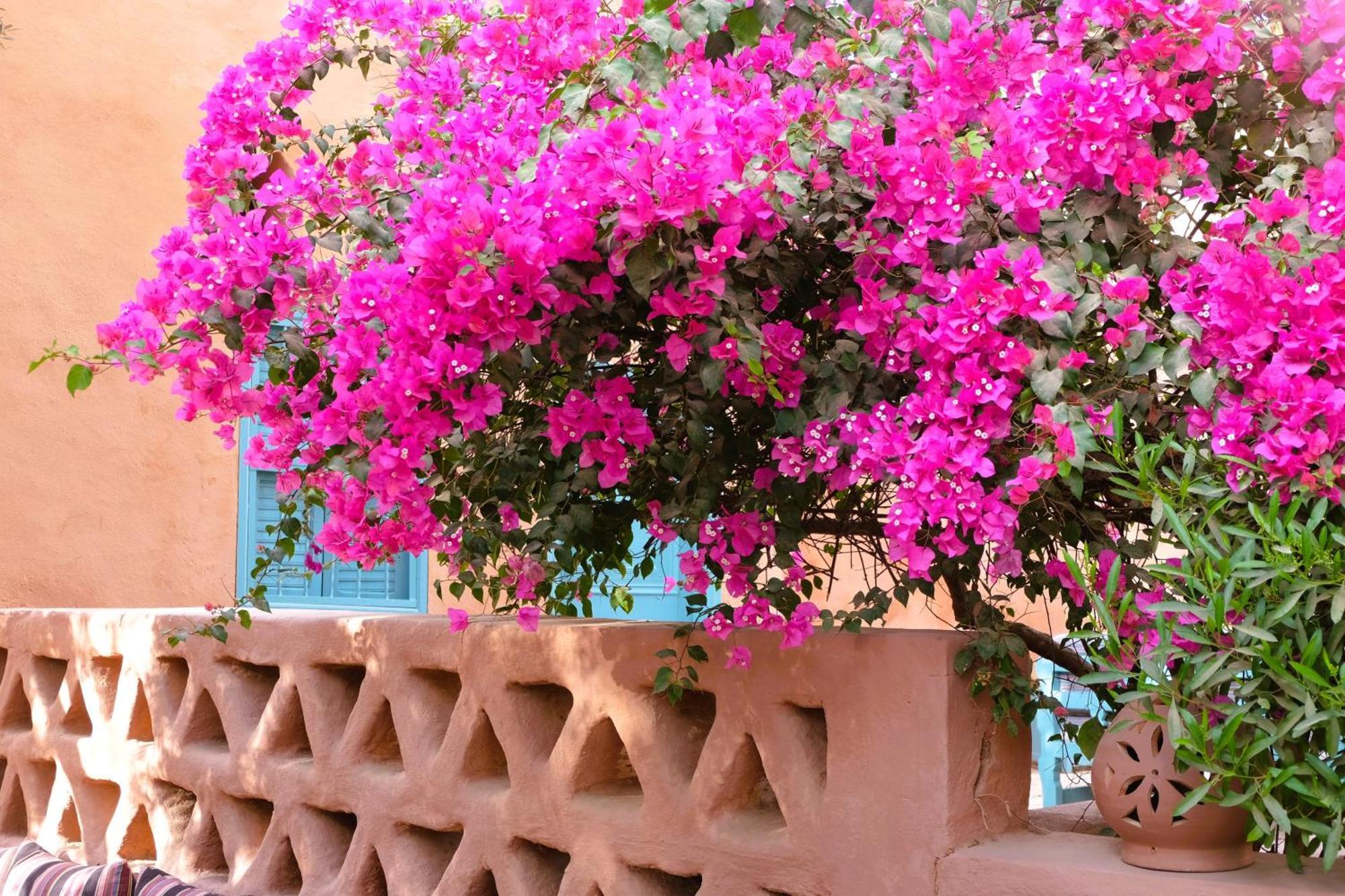 Bab Al Samawy Hotel Luxor Exterior foto