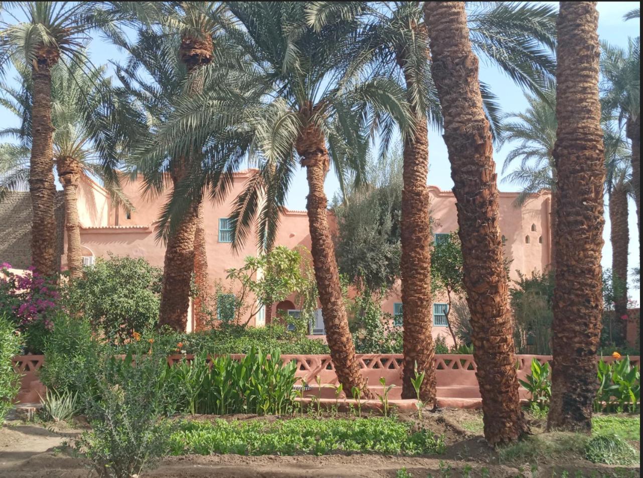 Bab Al Samawy Hotel Luxor Exterior foto